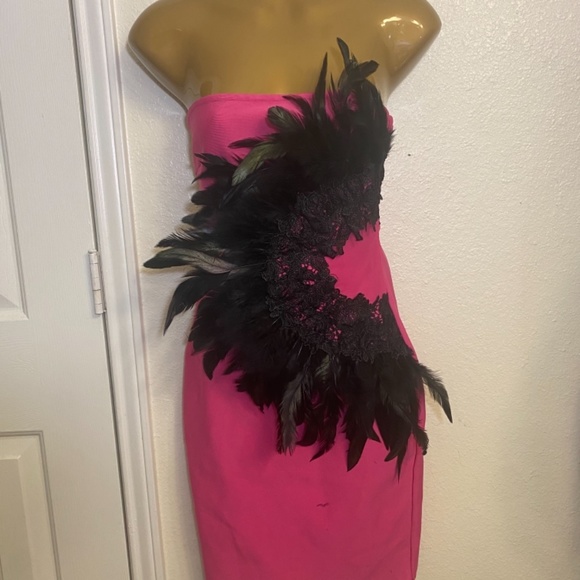 Fashion Nova bandage feather dresses - Picture 9 of 11